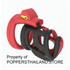 Red & Black Open-Frame Male Chastity Cage with Lock | กรงขังอวัยวะเพศชายโครงเปิดสีแดง-ดำพร้อมกุญแจล็อก